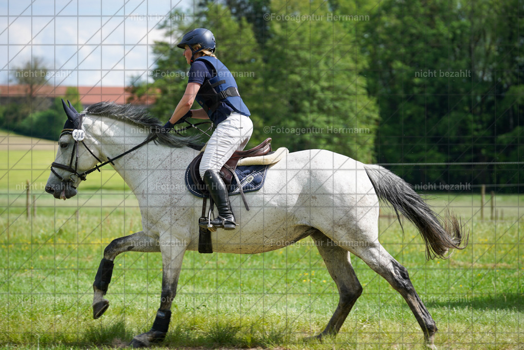 20240518-FAH03760 | Turnierbilder von Niederseon, Turnierfotografen Bayern, Fotoagentur Herrmann, Geländebilder, Reitsportfotografie