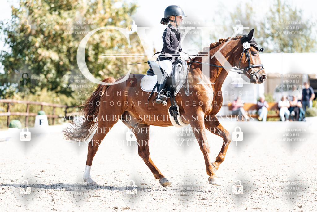 CK903077 | Turnierfotografie Pferdefotografie Trier Rheinland-Pfalz Pferdesport Reitsport Tierfotografie Sportfotografie Pferdevideo Pferdevideografie Equestrianvideography equestrianphotography  - Realisiert mit Pictrs.com
