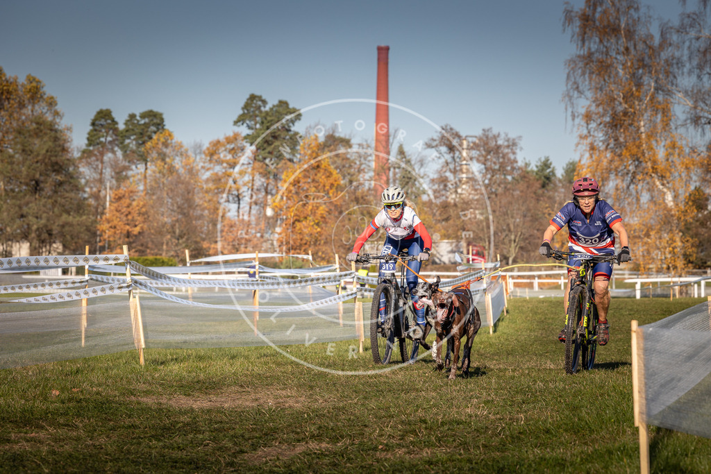 CaniXpix_0L8A5662 | Hundefotografie, Tierfotograf, Pfotenfotografie, Fotoshooting Hund, Hunde Portrait, Hundesport, Hundeportraits, Heideshooting, Hunde, Sportfotograf, Hundefotograf, Turnierhundsport, THS,  - Realisiert mit Pictrs.com