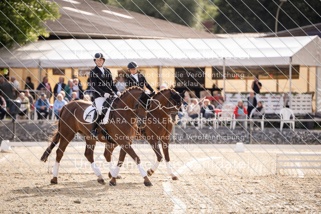 SD_OED_08733 | saradresslerfotografie - Realisiert mit Pictrs.com