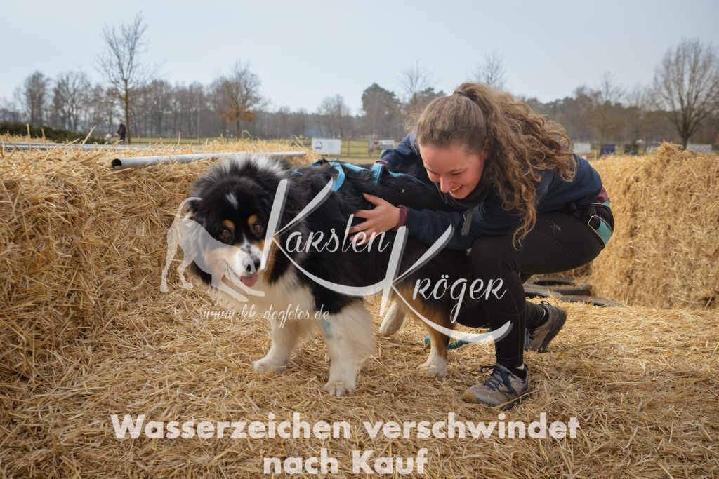1042_ZZ98257 | kk-dogfotos