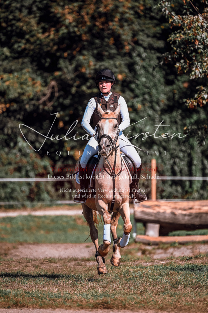 DSC_1134 | Pferde- und Turnierfotografie in Westsachsen. Pferdeportraits, Auftragszeichnungen und intuitive Kunst.