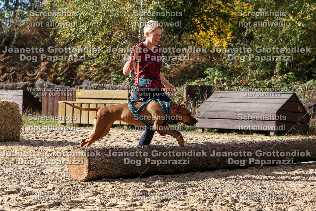 Dog Paparazzi - Strongdog 10-25-5800 | Dog Paparazzi Jeanette Grottendiek Fotografie & Videografie - Realisiert mit Pictrs.com