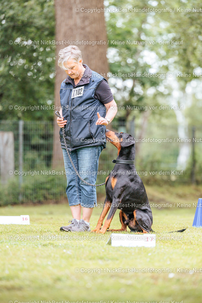RO-Blumenthal-2026-Nickbest-Hundefotografie-5236 | Dein Hund! Dein Moment! Deine Erinnerungen! Hundefotografie in Bremen Blumenthal. Ich fange die besonderen Momente deines Vierbeiners ein – ob Indoor mit Blitzanlage oder in der freien Natur. Sicher dir dein Moment und dein Termin für eure Erinnerungen.