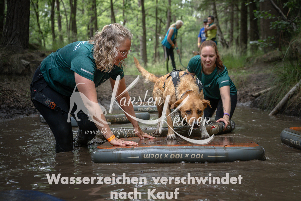 1231_ZZ99654 | kk-dogfotos