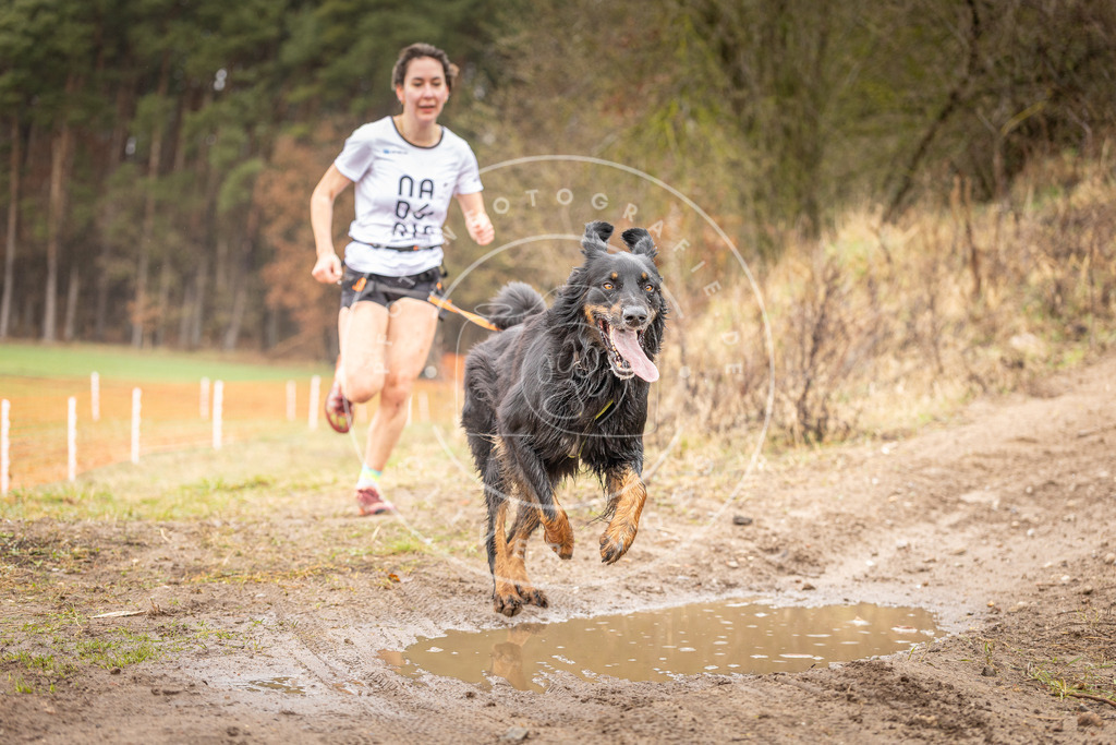 DV3A0162 | Hundefotografie, Tierfotograf, Pfotenfotografie, Fotoshooting Hund, Hunde Portrait, Hundesport, Hundeportraits, Heideshooting, Hunde, Sportfotograf, Hundefotograf, Turnierhundsport, THS,  - Realisiert mit Pictrs.com
