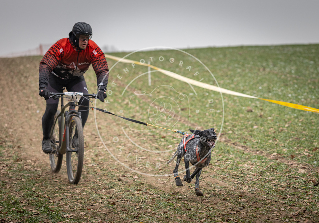Pfotenfotografie_DV3A2372 | Hundefotografie, Tierfotograf, Pfotenfotografie, Fotoshooting Hund, Hunde Portrait, Hundesport, Hundeportraits, Heideshooting, Hunde, Sportfotograf, Hundefotograf, Turnierhundsport, THS,  - Realisiert mit Pictrs.com