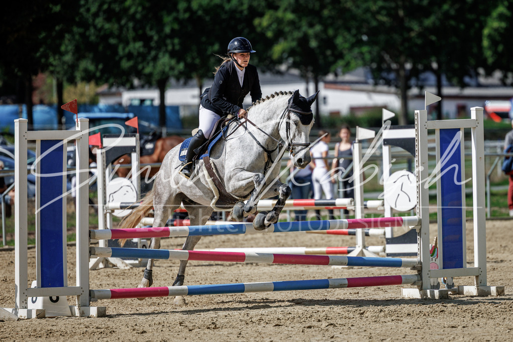 20260905-_3LI9117 | Tierfotografie Pferde, Hunde, Katzen, Haustiere.
Turnierfotografie Reitturniere, Reiten, Springreiten, Dressur in Hanau, dem Main-Kinzig-Kreis und dem Rhein-Main- Gebiet um Frankfurt