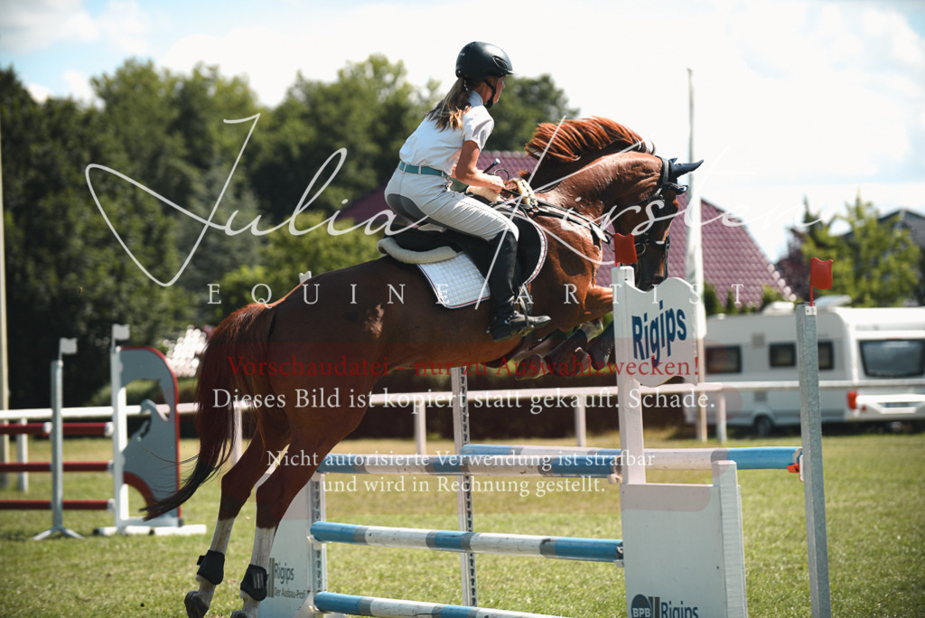 DSC_6869 | Pferde- und Turnierfotografie in Westsachsen. Pferdeportraits, Auftragszeichnungen und intuitive Kunst.