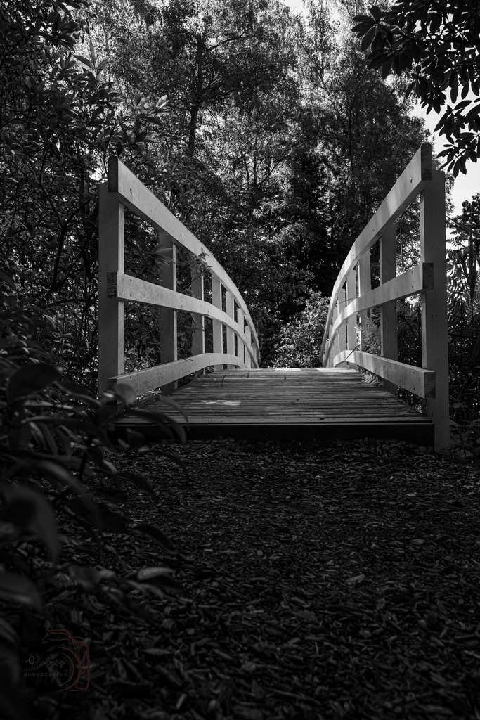 Bridge | Holzisphotography, Landschaftsfotografie, Wildlifefotogorafie - Realisiert mit Pictrs.com