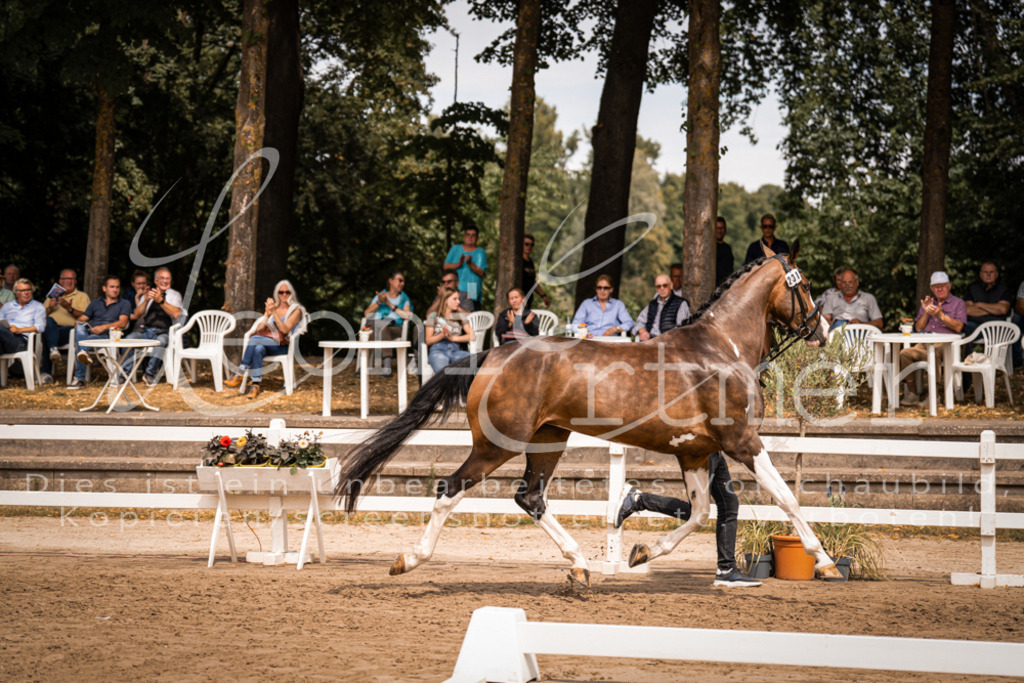 3.Fr00172 | Leoni Ertmer Photography - Realisiert mit Pictrs.com