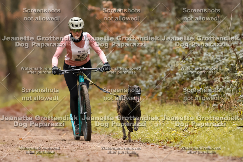 Dog Paparazzi - Speedhunter Mannheim  2025-51 | Dog Paparazzi Jeanette Grottendiek Fotografie & Videografie
