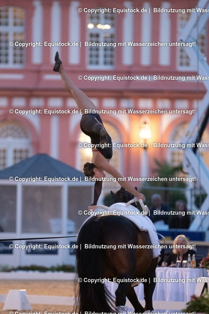 20230527_Voltigieren_NASPA_Flutlicht_0513 | equistock