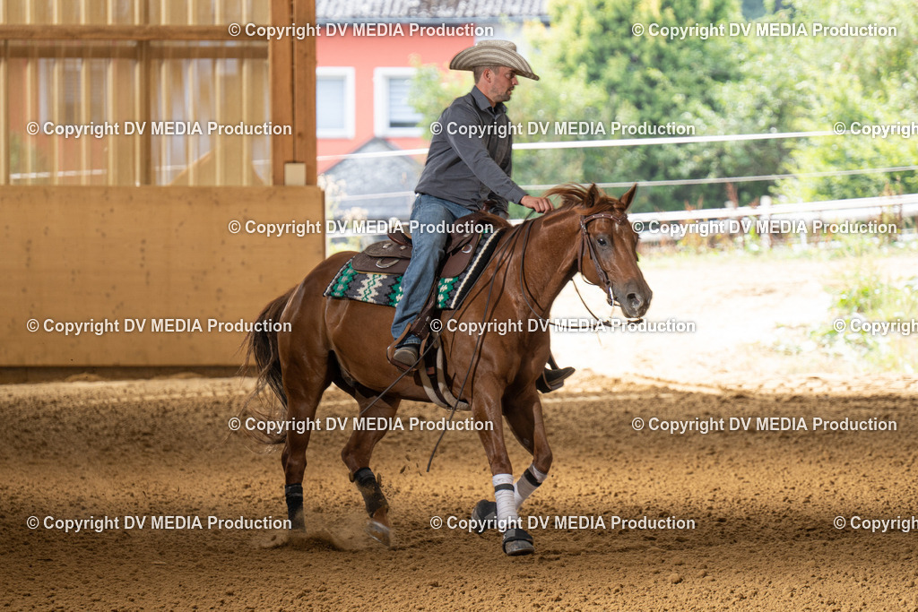 LAU01650 | dv-media-shop - Realisiert mit Pictrs.com