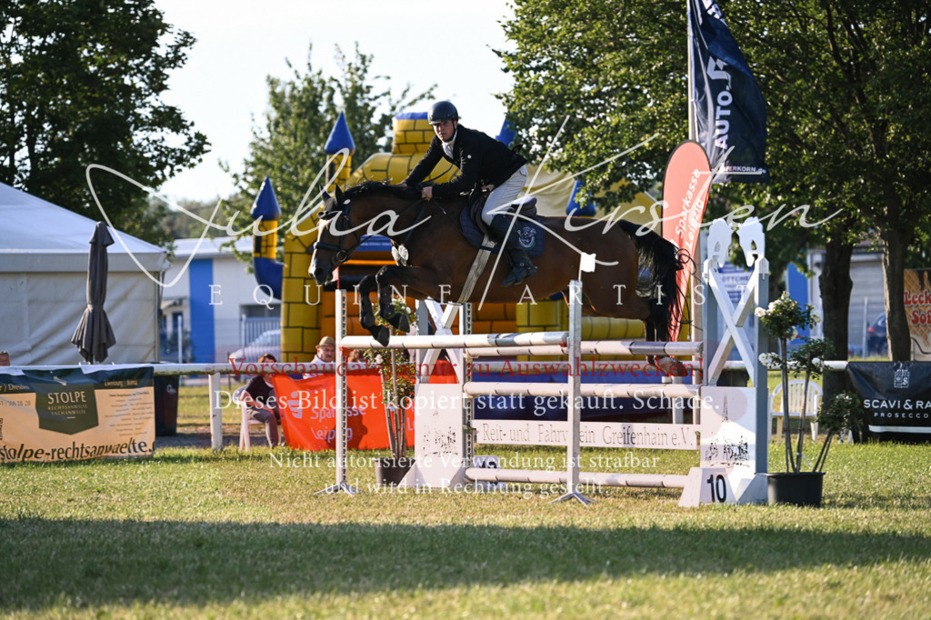 DSC_1811 | Pferde- und Turnierfotografie in Westsachsen. Pferdeportraits, Auftragszeichnungen und intuitive Kunst.