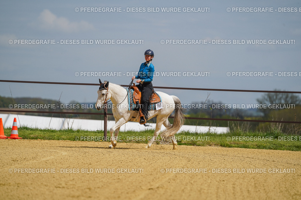 DSC05498 | Pferdegrafie