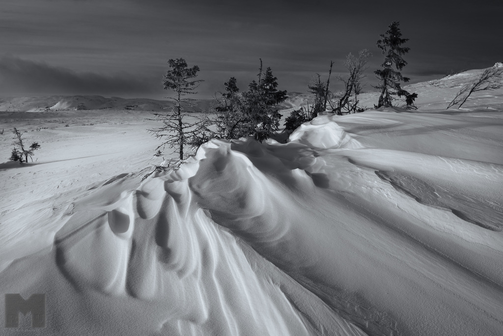 Schneewehen im Fjäll | Landschafts- und Tierfotografie zu allen Jahreszeiten. Und immer die Schönheit des Lichtes im Auge... - Realisiert mit Pictrs.com