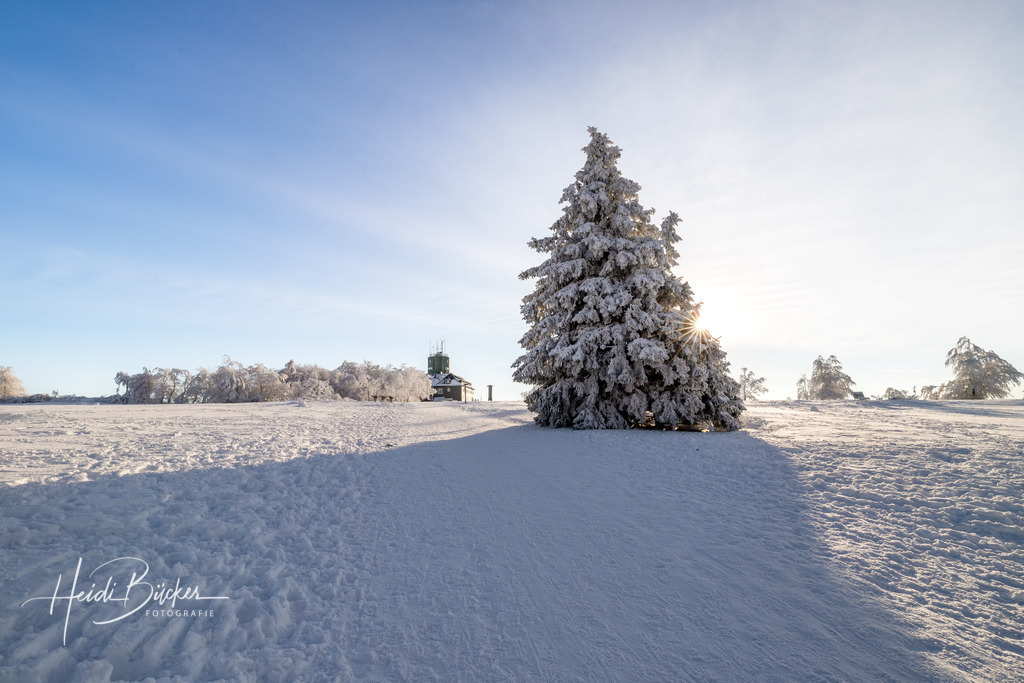 Verschneite Astenheide auf dem Kahlen Asten | Verschneite Astenheide auf dem Kahlen Asten - Realisiert mit Pictrs.com