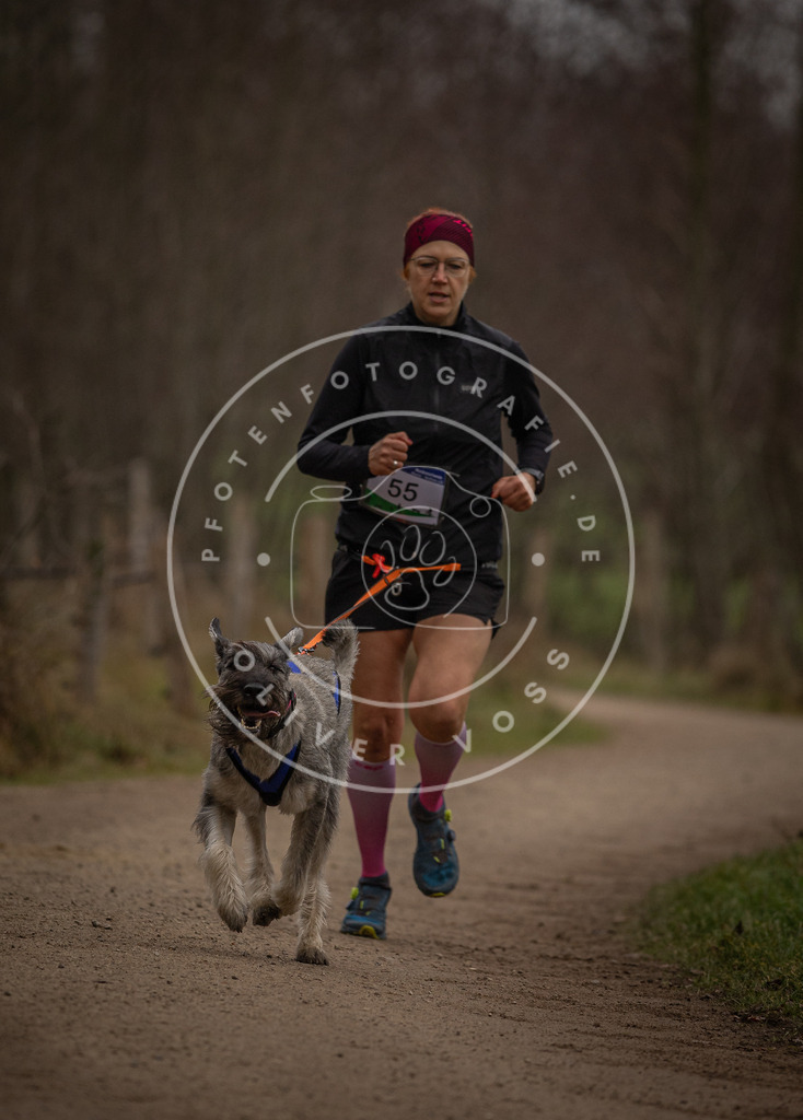 Pfotenfotografie_DV3A3015 | Hundefotografie, Tierfotograf, Pfotenfotografie, Fotoshooting Hund, Hunde Portrait, Hundesport, Hundeportraits, Heideshooting, Hunde, Sportfotograf, Hundefotograf, Turnierhundsport, THS,  - Realisiert mit Pictrs.com