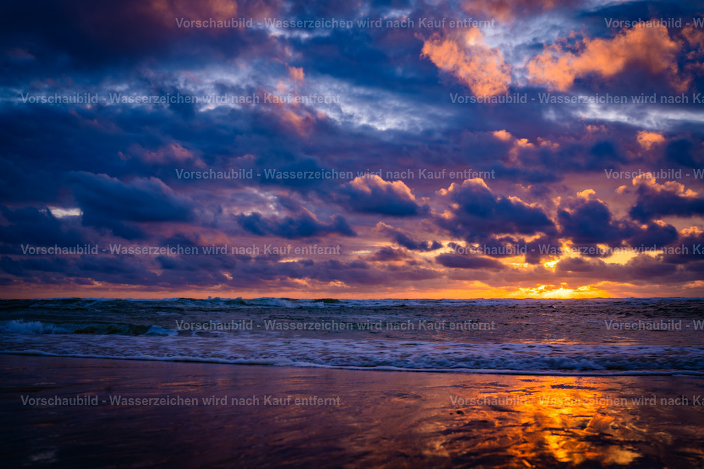 DSC01912-Enhanced-NR | marcuslinek