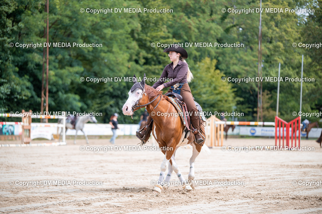 ZS3_5022 | dv-media-shop - Realisiert mit Pictrs.com