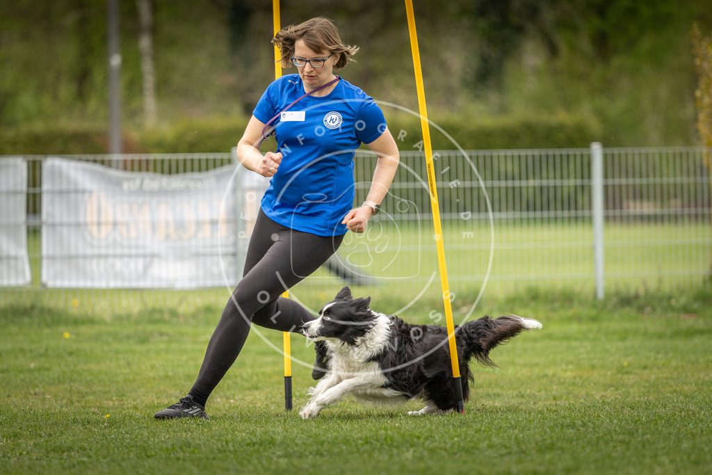 Pfotenfotografie_DV3A2067 | Hundefotografie, Tierfotograf, Pfotenfotografie, Fotoshooting Hund, Hunde Portrait, Hundesport, Hundeportraits, Heideshooting, Hunde, Sportfotograf, Hundefotograf, Turnierhundsport, THS,  - Realisiert mit Pictrs.com