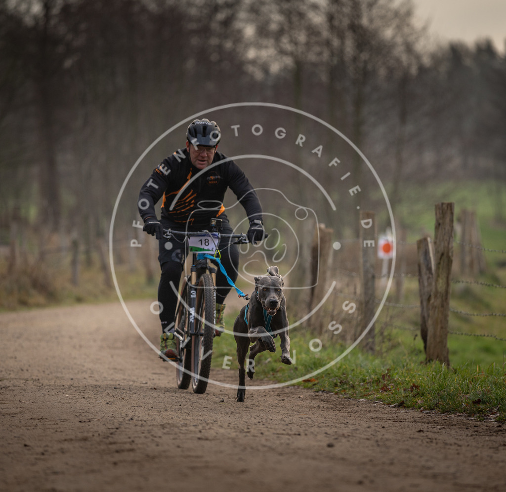 Pfotenfotografie_DV3A1915 | Hundefotografie, Tierfotograf, Pfotenfotografie, Fotoshooting Hund, Hunde Portrait, Hundesport, Hundeportraits, Heideshooting, Hunde, Sportfotograf, Hundefotograf, Turnierhundsport, THS,  - Realisiert mit Pictrs.com