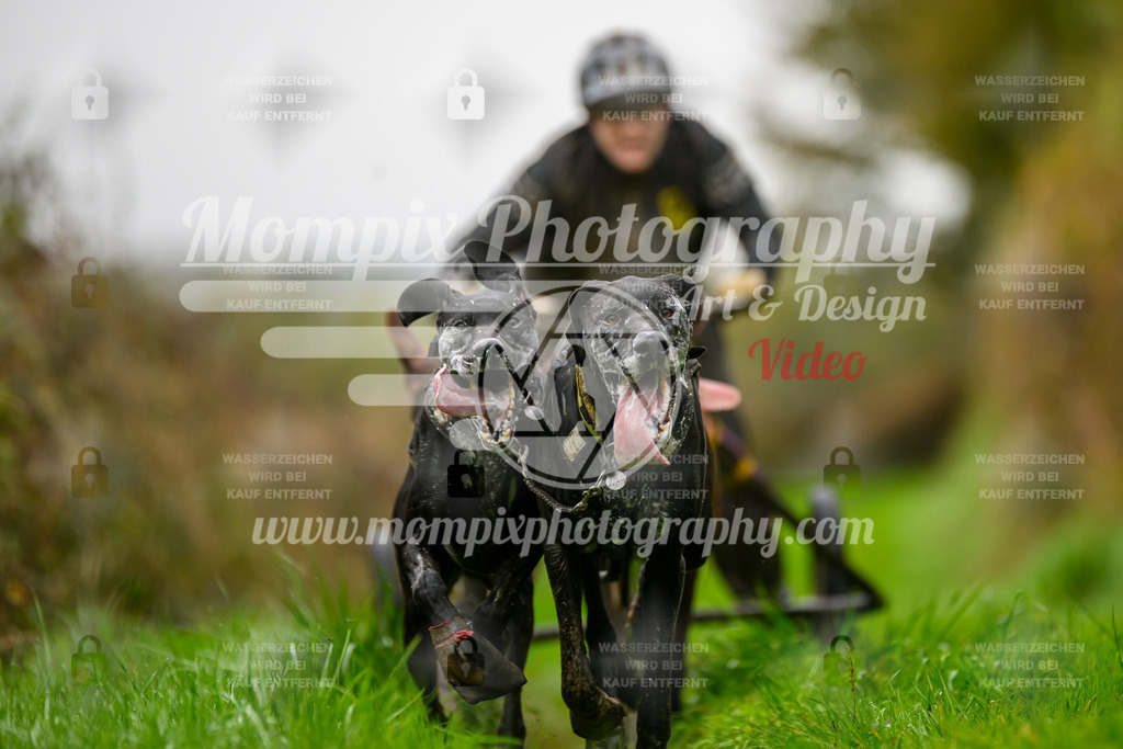 MompixPhotography_20TSB_E8_Kart-20 | PayLife