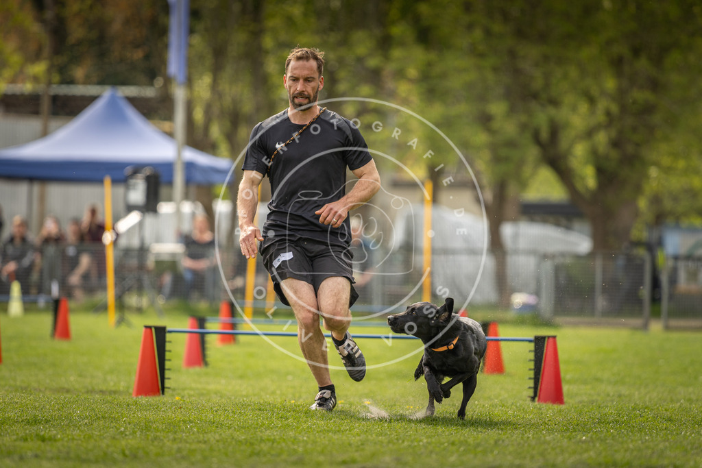 Pfotenfotografie_DV3A6213 | Hundefotografie, Tierfotograf, Pfotenfotografie, Fotoshooting Hund, Hunde Portrait, Hundesport, Hundeportraits, Heideshooting, Hunde, Sportfotograf, Hundefotograf, Turnierhundsport, THS,  - Realisiert mit Pictrs.com