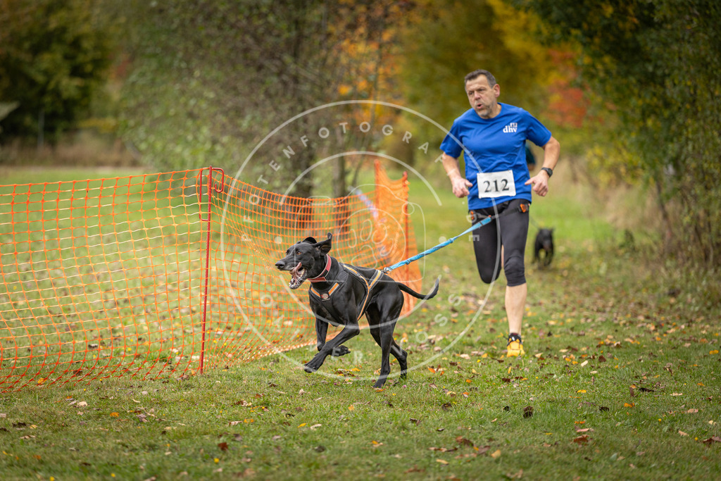 Pfotenfotografie_DV3A3954 | Hundefotografie, Tierfotograf, Pfotenfotografie, Fotoshooting Hund, Hunde Portrait, Hundesport, Hundeportraits, Heideshooting, Hunde, Sportfotograf, Hundefotograf, Turnierhundsport, THS,  - Realisiert mit Pictrs.com
