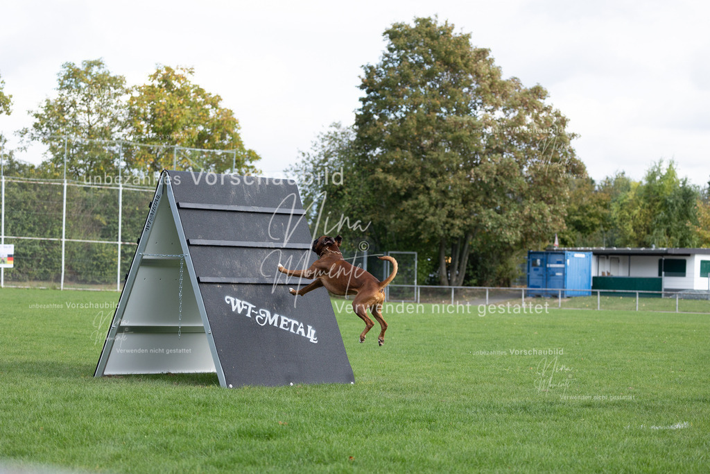 _16A6774 | Einzigartige Fotos von Hunden & Menschen –Actionfotos, Portraits, Vereinsaufnahmen & Paarshootings – authentisch, lebendig & mit Herz.