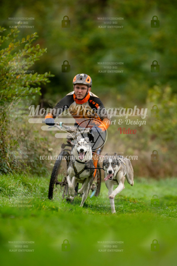 TSB_2023_E6_DS2-9 | PayLife