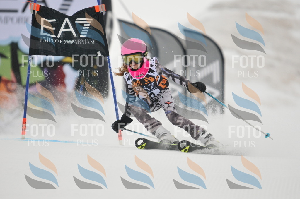 DSC_7538 | holidayphoto