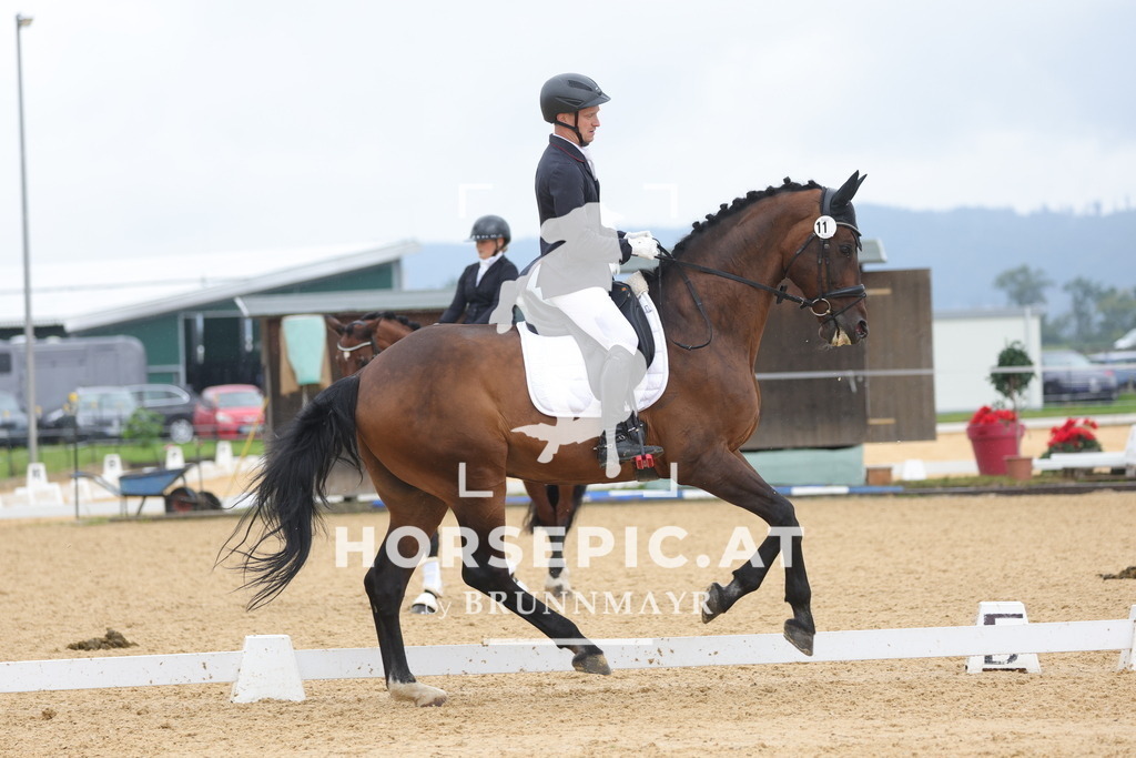 0P6A9870 | Willkommen bei Brunnmayr - Design & Fotografie – Ihrem Spezialisten für Reitturniere und Pferdeveranstaltungen in Oberösterreich, Salzburg und Bayern! Seit über 17 Jahren sind wir leidenschaftlich dabei.