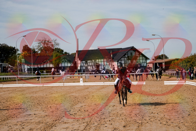 2026_10_03_Siefer-Hof_121101_Z63_38886144 | Professionelle Reitsport-, Turnier- und Eventfotografie von Robert Broda. Galerien mit ausgewählten und bearbeiteten Bildern direkt online ansehen und bestellen.