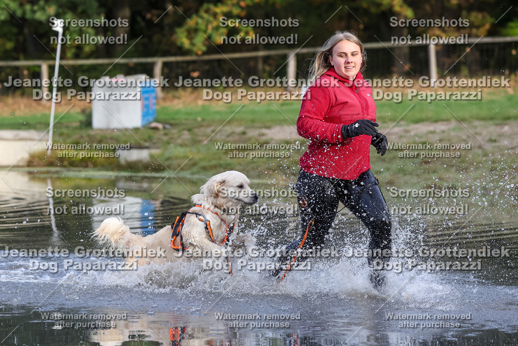 Dog Paparazzi - Strongdog 10-25-8229 | Dog Paparazzi Jeanette Grottendiek Fotografie & Videografie - Realisiert mit Pictrs.com