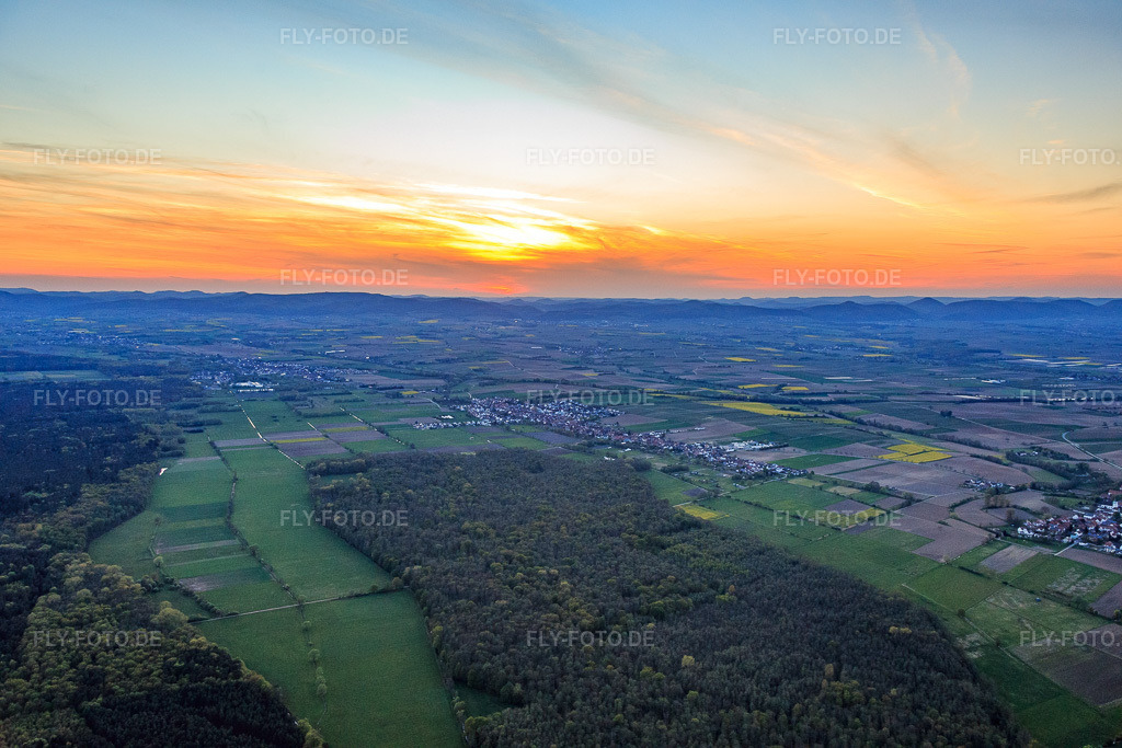 Luftbild: Viestrich am Bienwaldrand von Osten in Freckenfeld im Bundesland Rheinland-Pfalz in Deutschland. Foto: IMG_078048.jpg vom 24.04.2015 durch Werner Riehm/FLY-FOTO.de