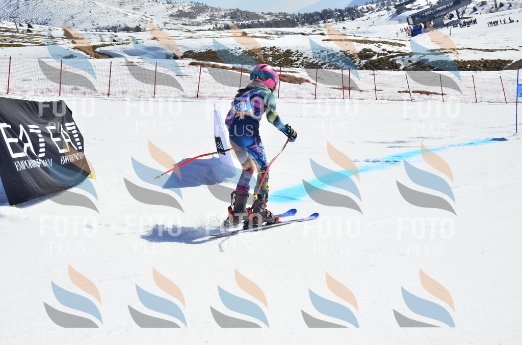 _ELE9883 | holidayphoto