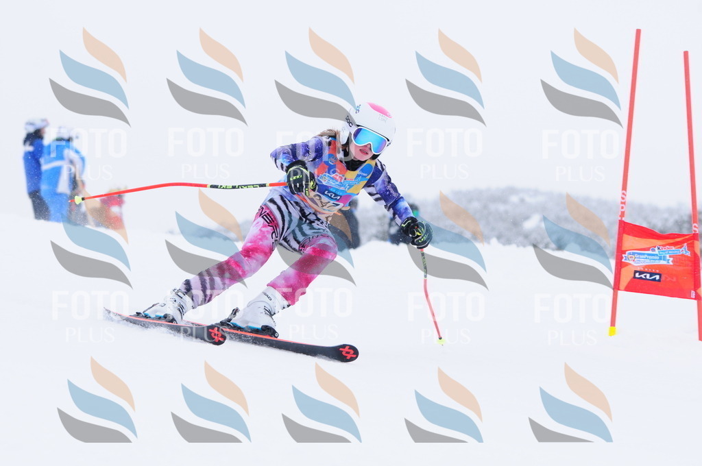 C3728 | holidayphoto