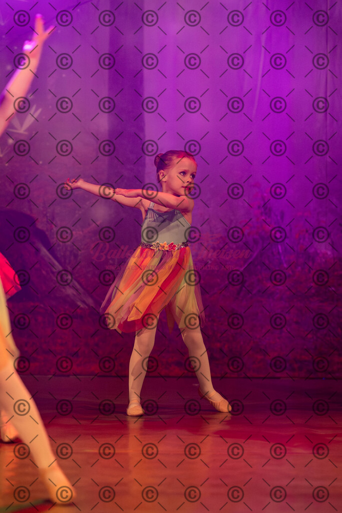 Ballettaufführung-668 | Bildershop Lem'n Entertainment - Realisiert mit Pictrs.com