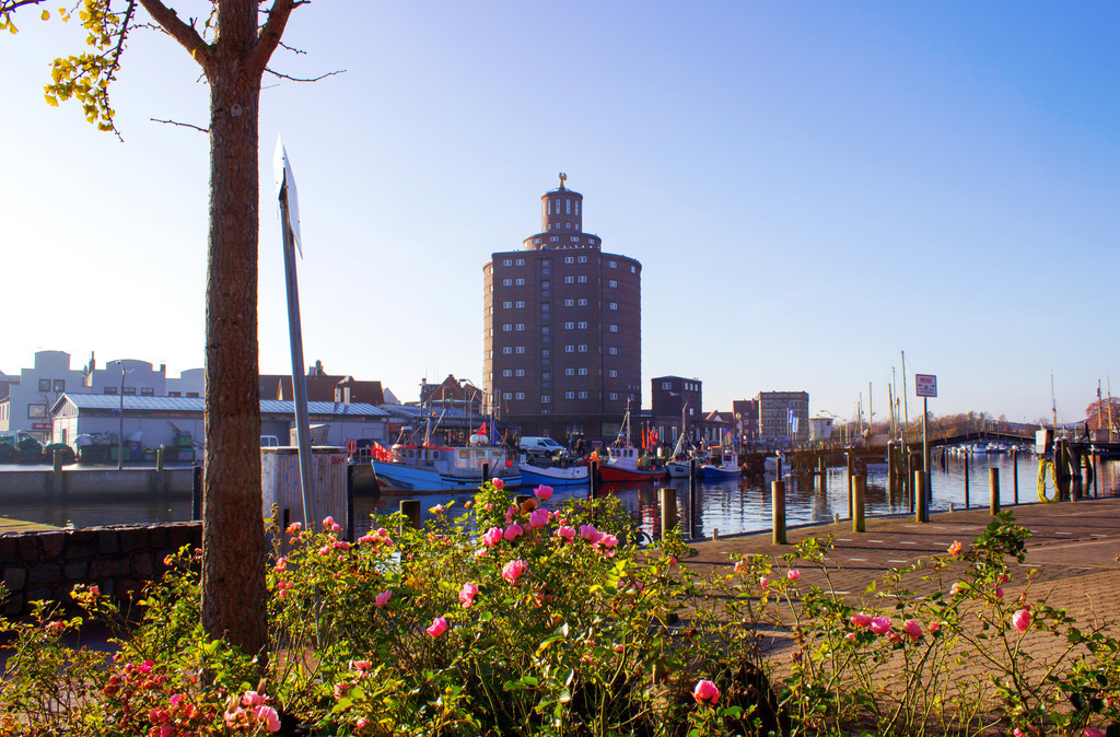 Wandbild: Rosen am Hafen in Eckernförde | Dieses Wandbild im Querformat zeigt eine schöne Sommerstimmung am Hafen in Eckernförde. Im Vordergrund befinden sich Rosen und ein Baum direkt am Hafen.  - Realisiert mit Pictrs.com