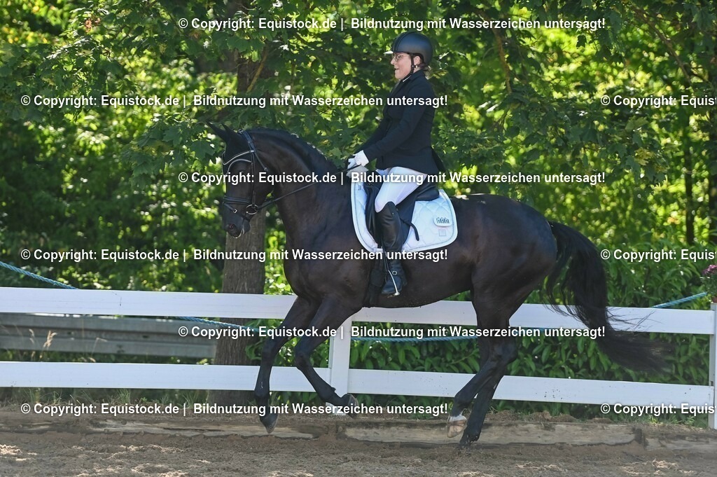 20230715_06_Dressurpferdeprfg. Kl.A_0347 | equistock