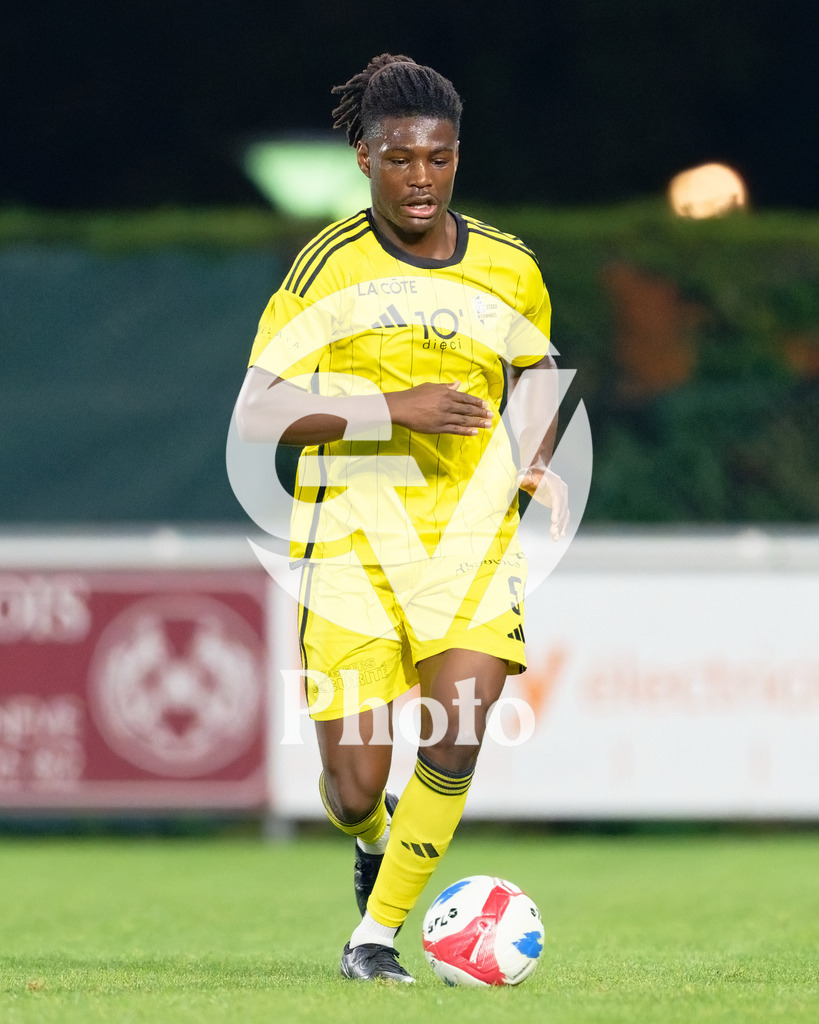 dieci Challenge League - FC Stade Nyonnais v FC Wil 1900 |  during the dieci Challenge League match between FC Stade Nyonnais and FC Wil 1900 at Centre sportif de Colovray in Nyon, Switzerland