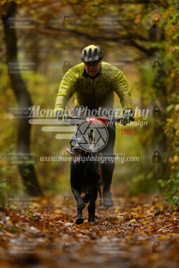 MompixPhotography_CD7S_DI_Bike-2 | mompixphotography