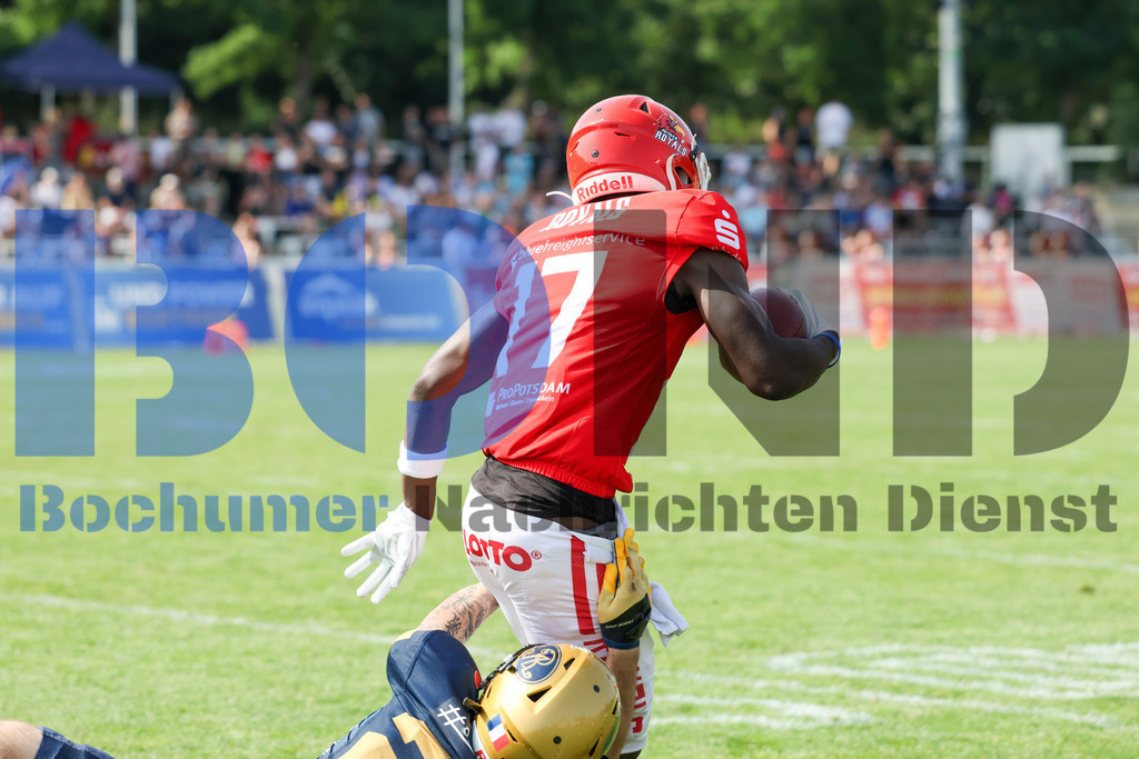 GFL: Potsdam Royals vs. Dresden Monarchs{date} -  | {headline}(Foto: Thomas Sobotzki / BOND) - Realisiert mit Pictrs.com