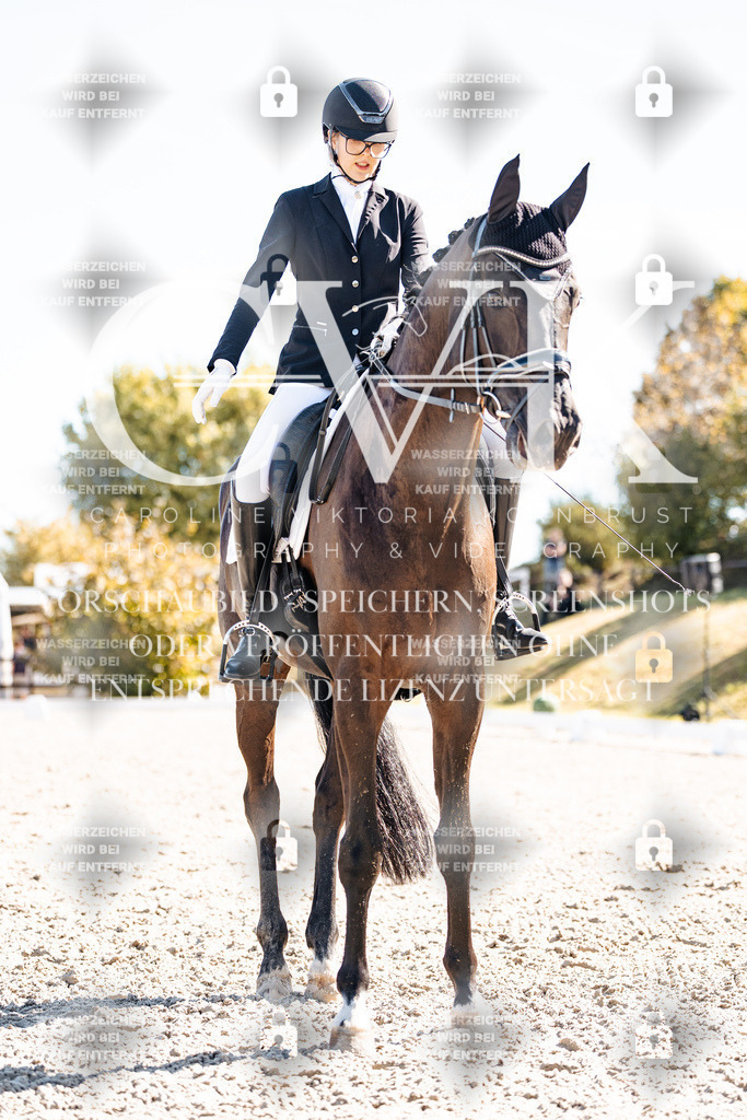 CK909012 | Turnierfotografie Pferdefotografie Trier Rheinland-Pfalz Pferdesport Reitsport Tierfotografie Sportfotografie Pferdevideo Pferdevideografie Equestrianvideography equestrianphotography  - Realisiert mit Pictrs.com