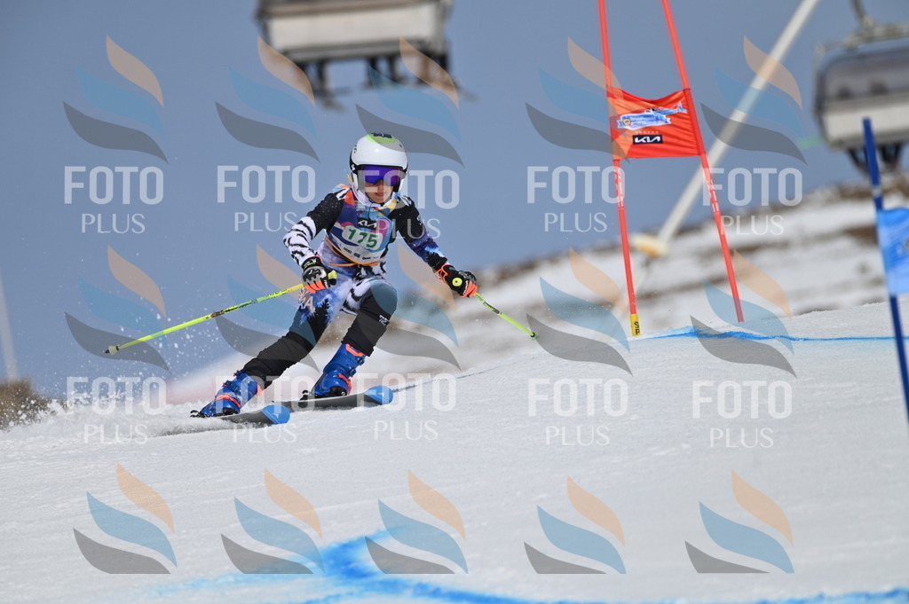 BGV_3448 | holidayphoto