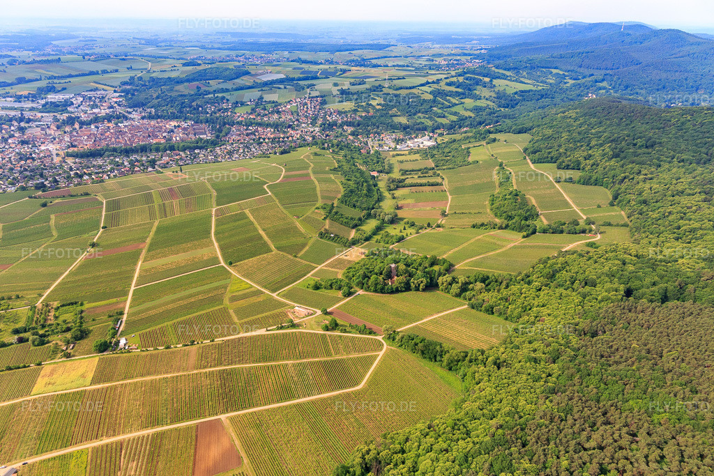 Luftbild: Weinlage Sonnenberg auf frz. Seite im Ortsteil Schweigen in Schweigen-Rechtenbach im Bundesland Rheinland-Pfalz in Deutschland. Foto: IMG_100681.jpg vom 05.06.2017 durch Werner Riehm/FLY-FOTO.de