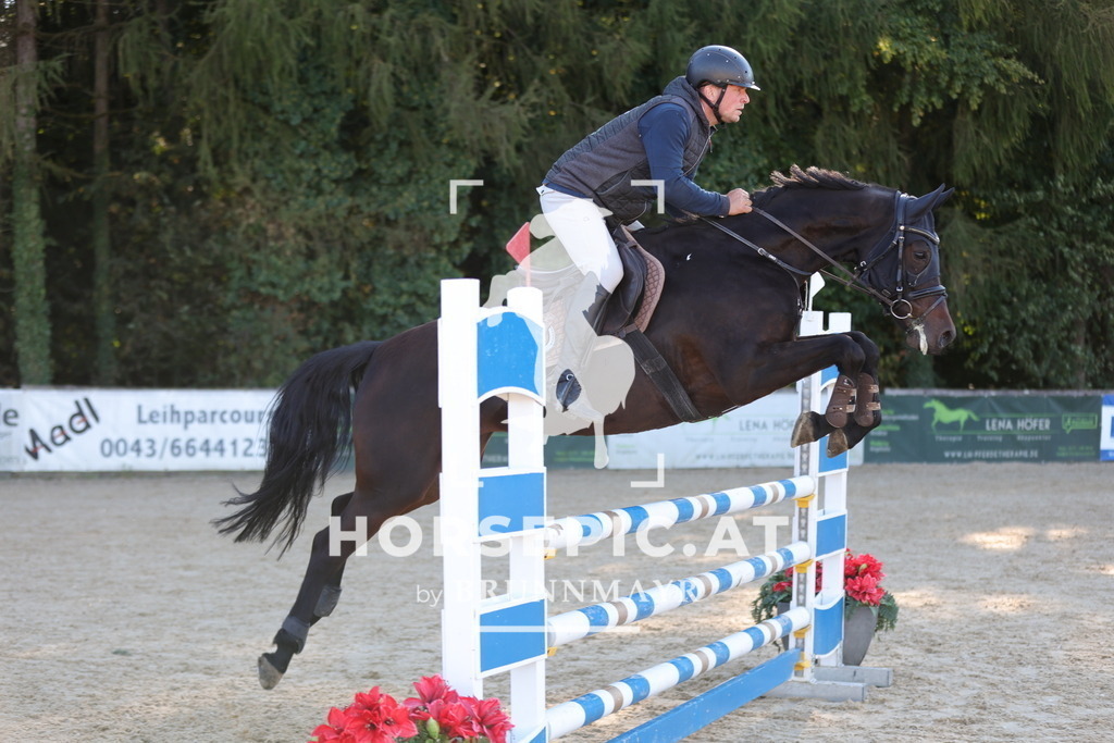 0P6A1186 | Willkommen bei Brunnmayr - Design & Fotografie – Ihrem Spezialisten für Reitturniere und Pferdeveranstaltungen in Oberösterreich, Salzburg und Bayern! Seit über 17 Jahren sind wir leidenschaftlich dabei.
