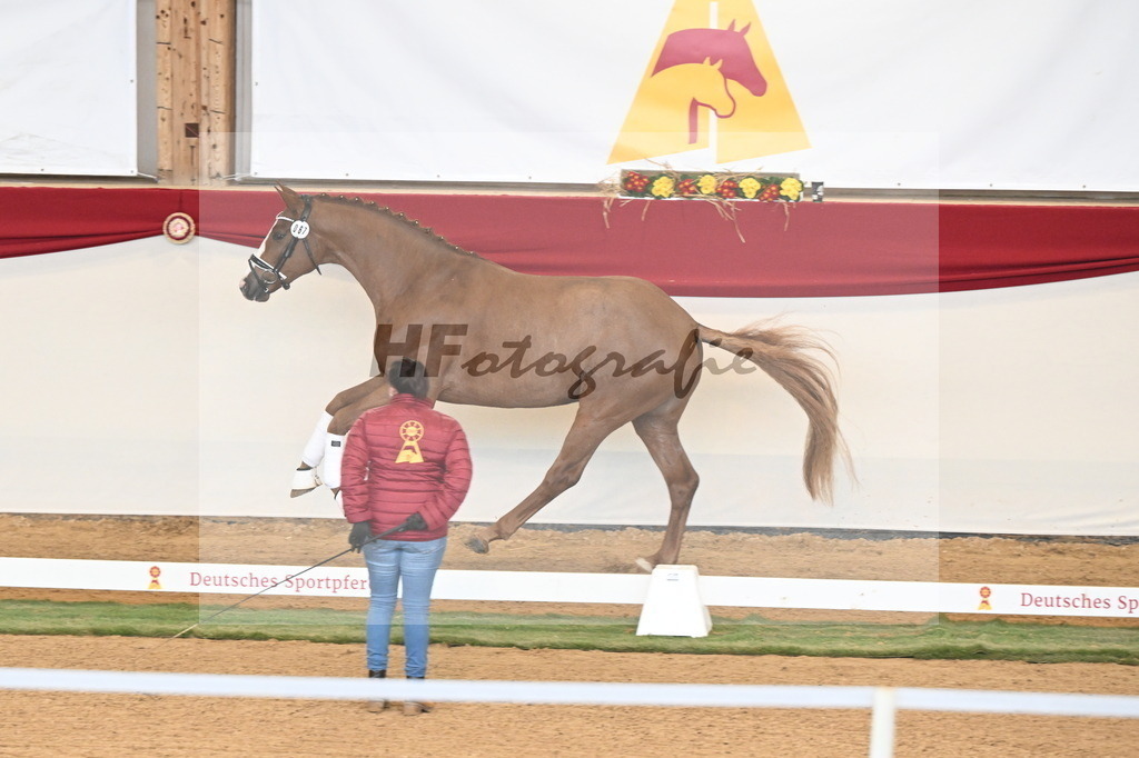 Kat.-Nr. 67 v. Iron_Reglauer_3260967 | hf-fotografie - Realisiert mit Pictrs.com
